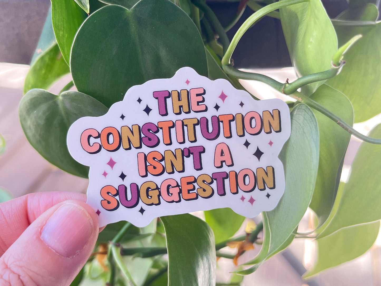 The Constitution Isn't a Suggestion Sticker