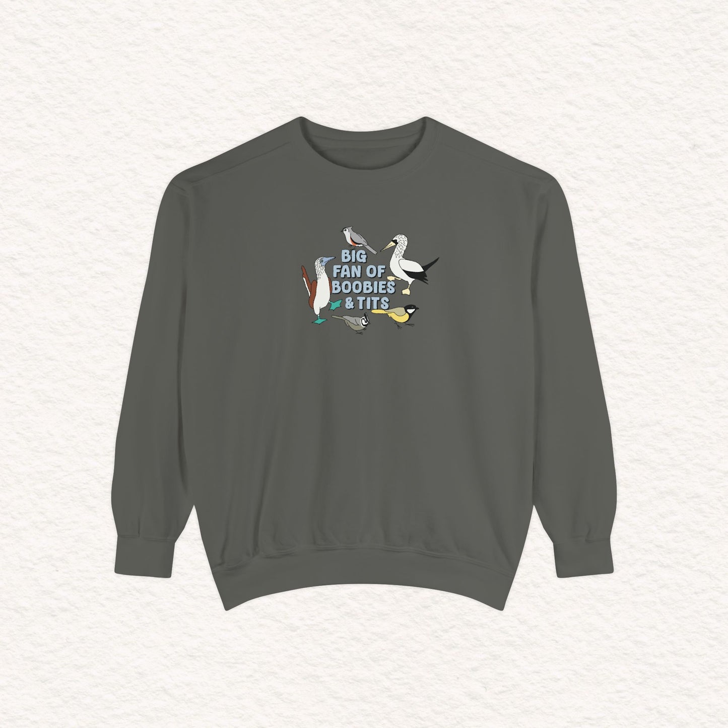 Copy of Copy of Unisex Garment-Dyed Sweatshirt