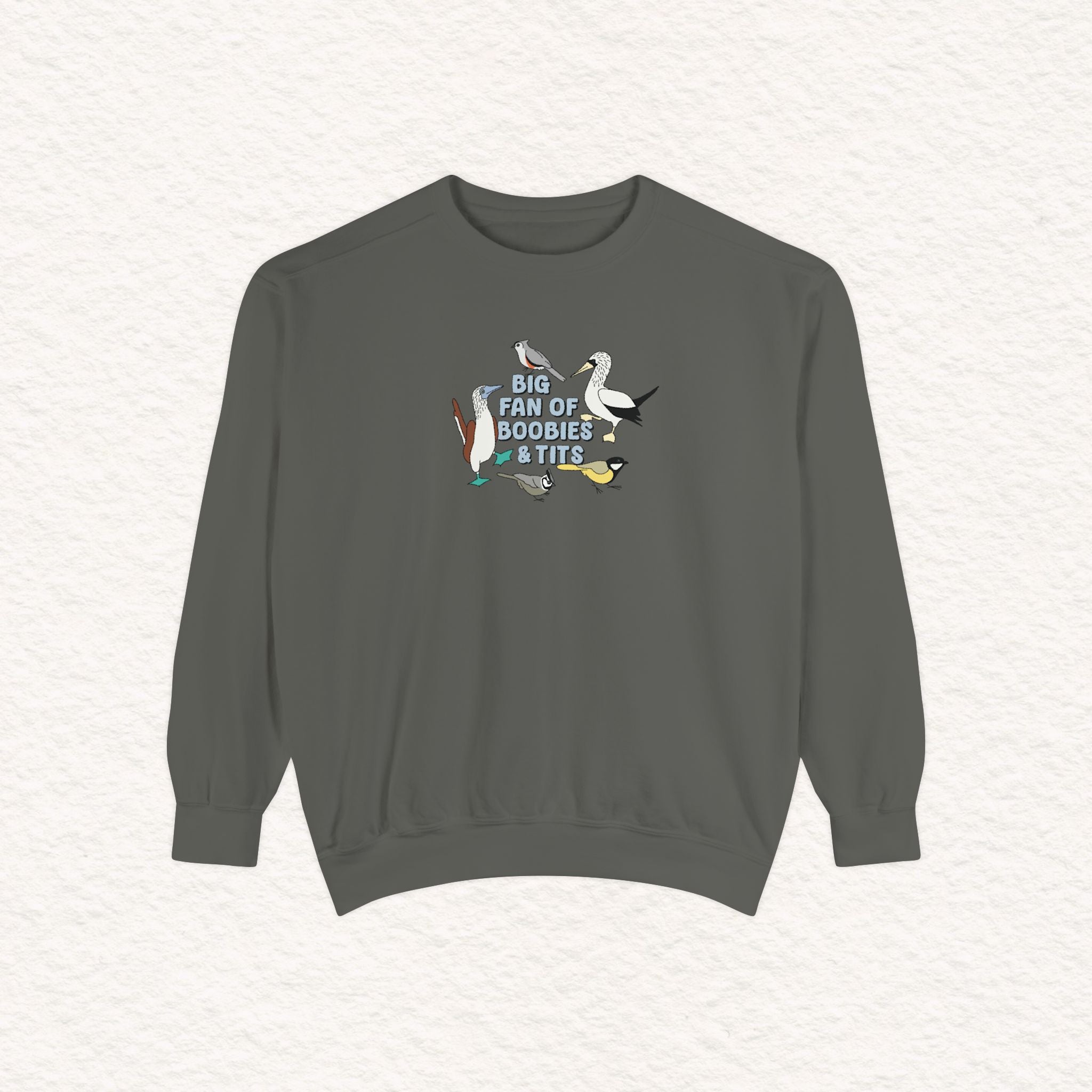 Copy of Copy of Unisex Garment-Dyed Sweatshirt