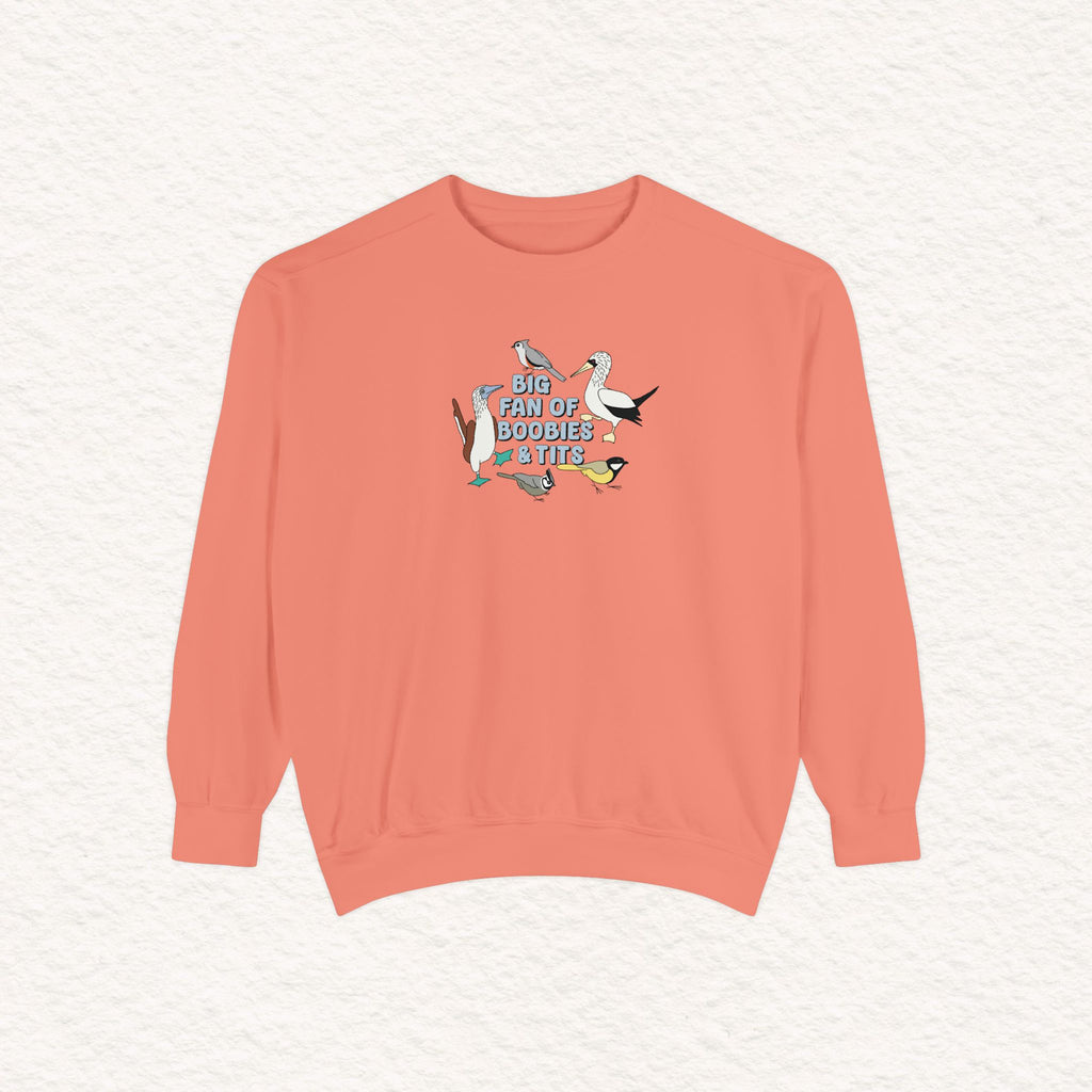 Copy of Copy of Unisex Garment-Dyed Sweatshirt