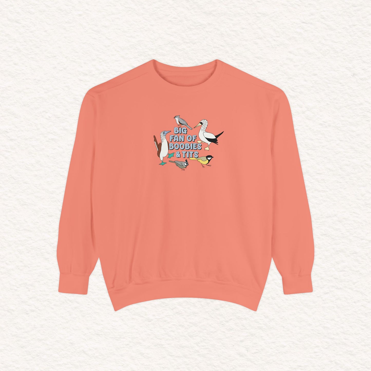 Copy of Copy of Unisex Garment-Dyed Sweatshirt