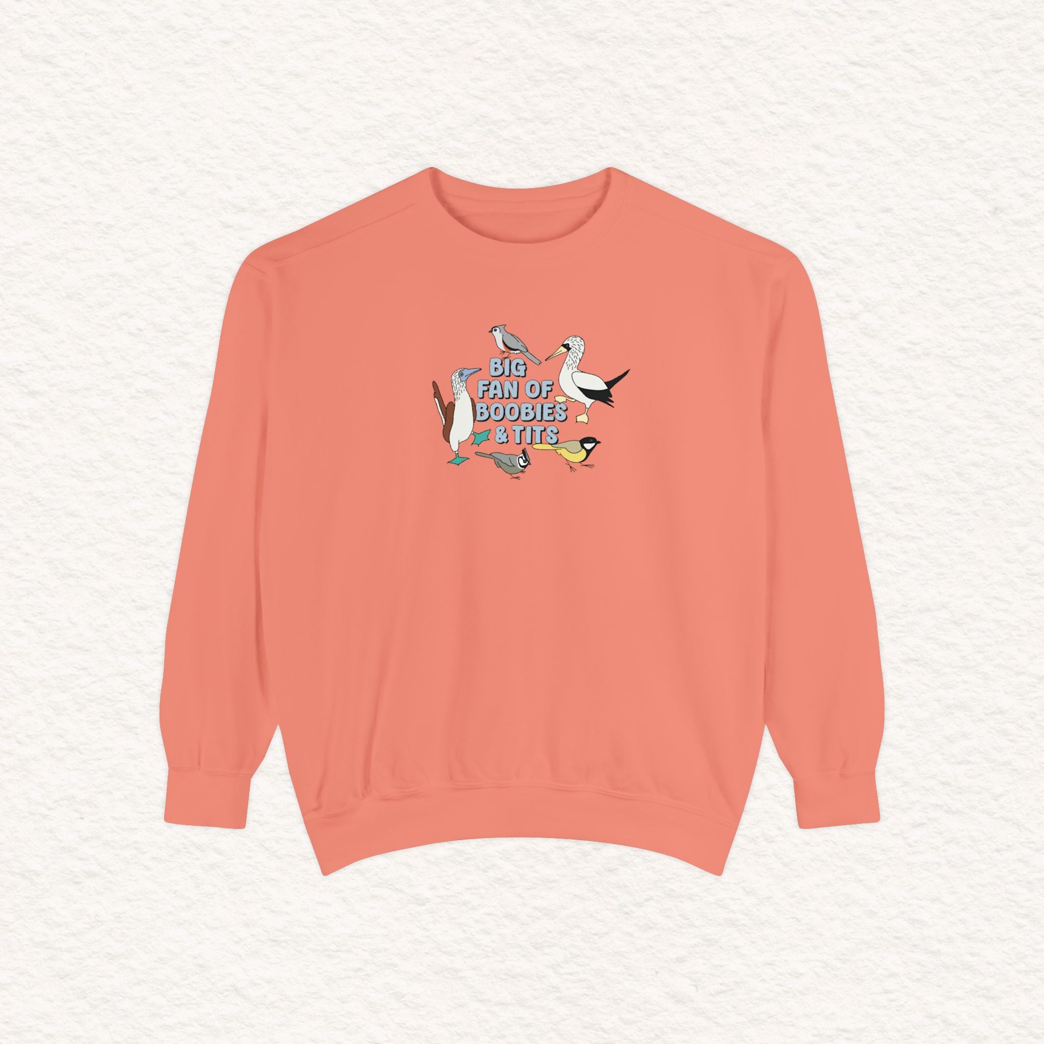 Copy of Copy of Unisex Garment-Dyed Sweatshirt