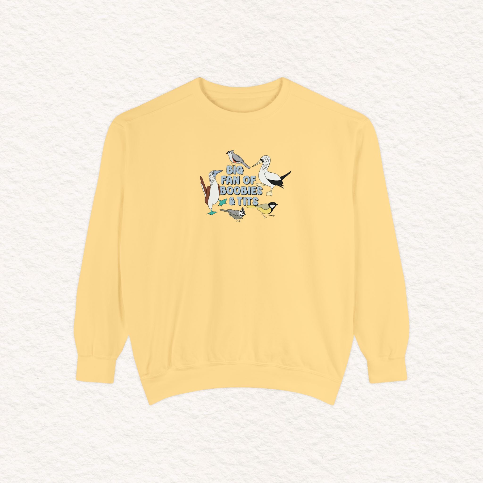 Copy of Copy of Unisex Garment-Dyed Sweatshirt