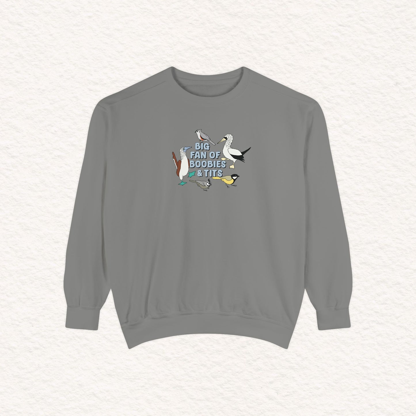 Copy of Copy of Unisex Garment-Dyed Sweatshirt