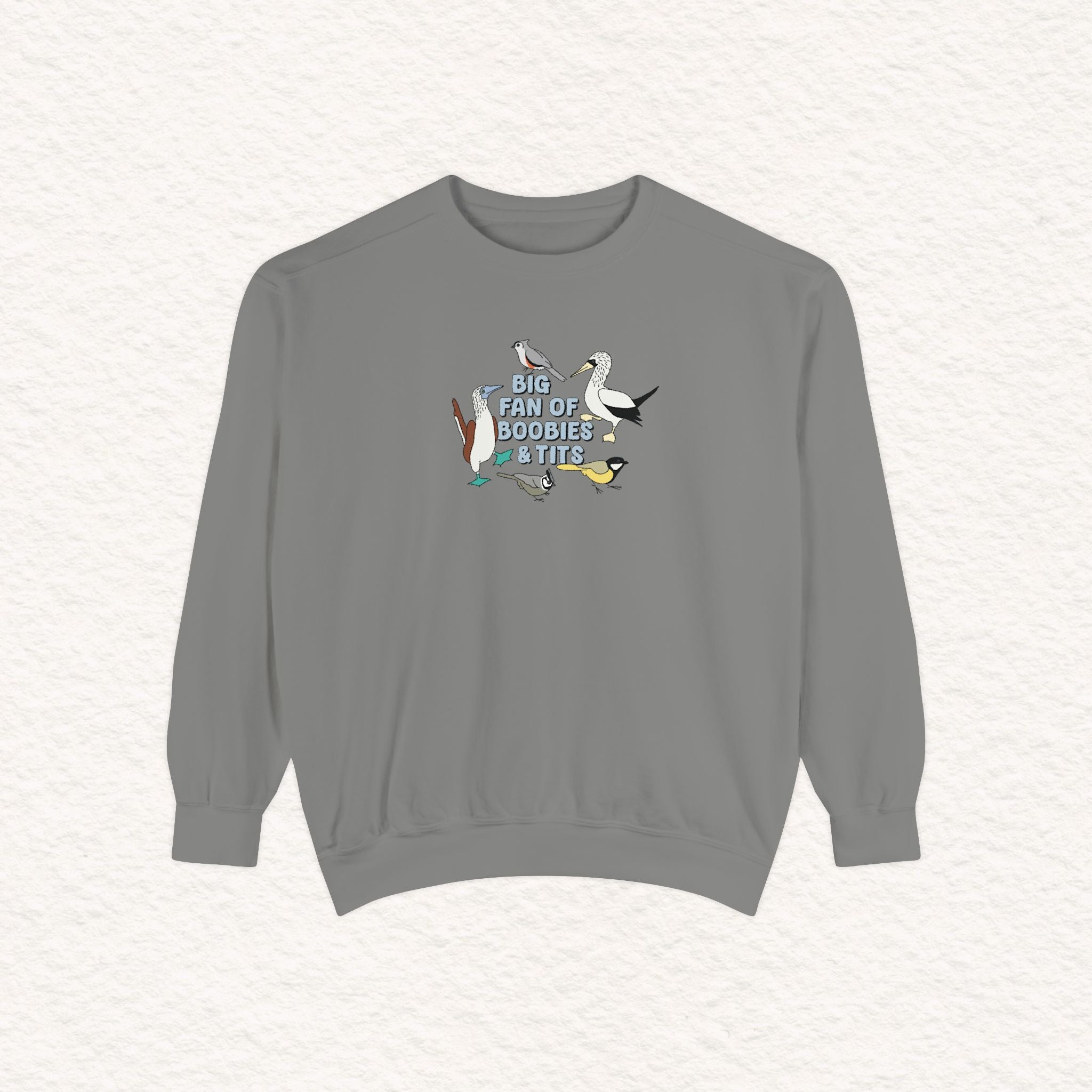 Copy of Copy of Unisex Garment-Dyed Sweatshirt