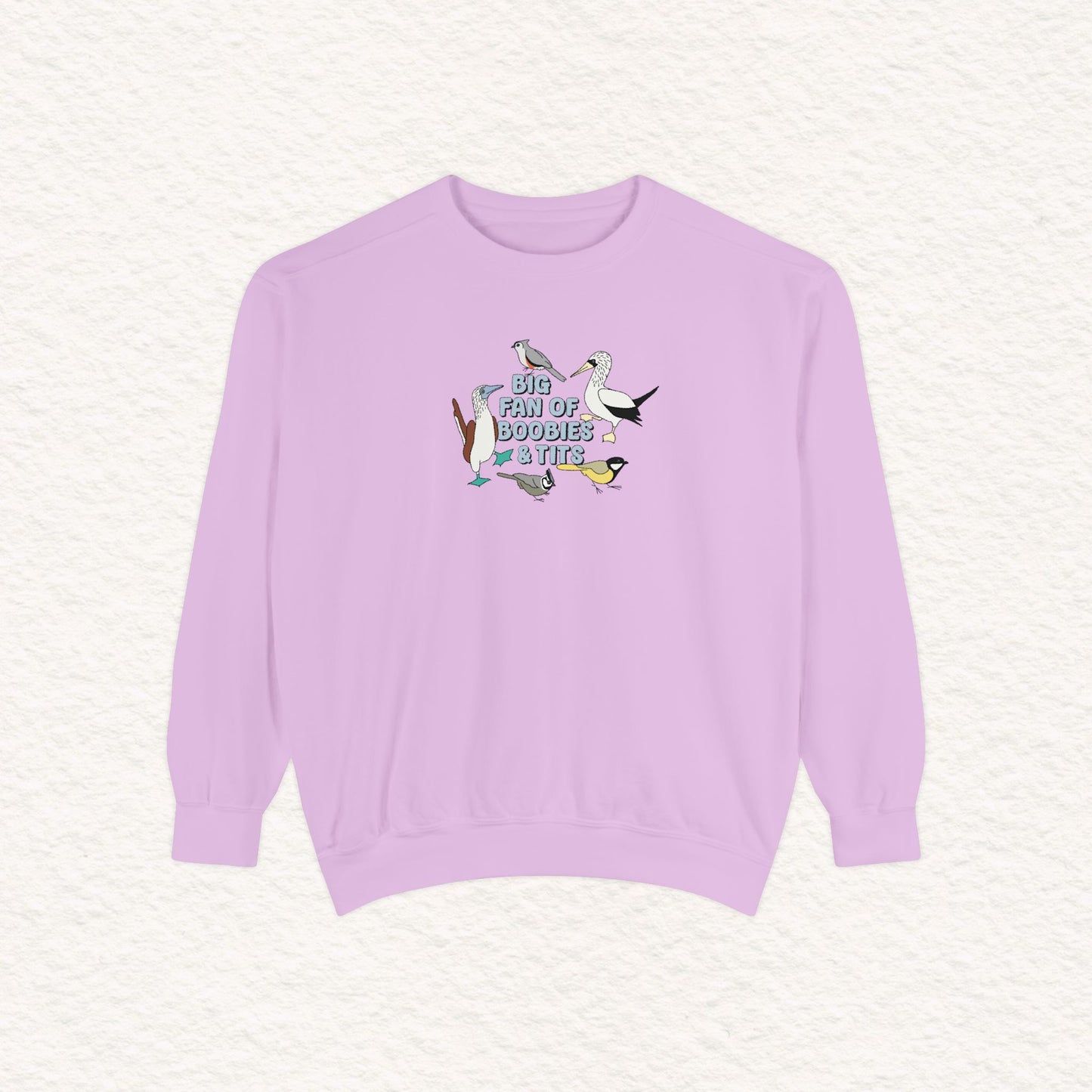 Copy of Copy of Unisex Garment-Dyed Sweatshirt