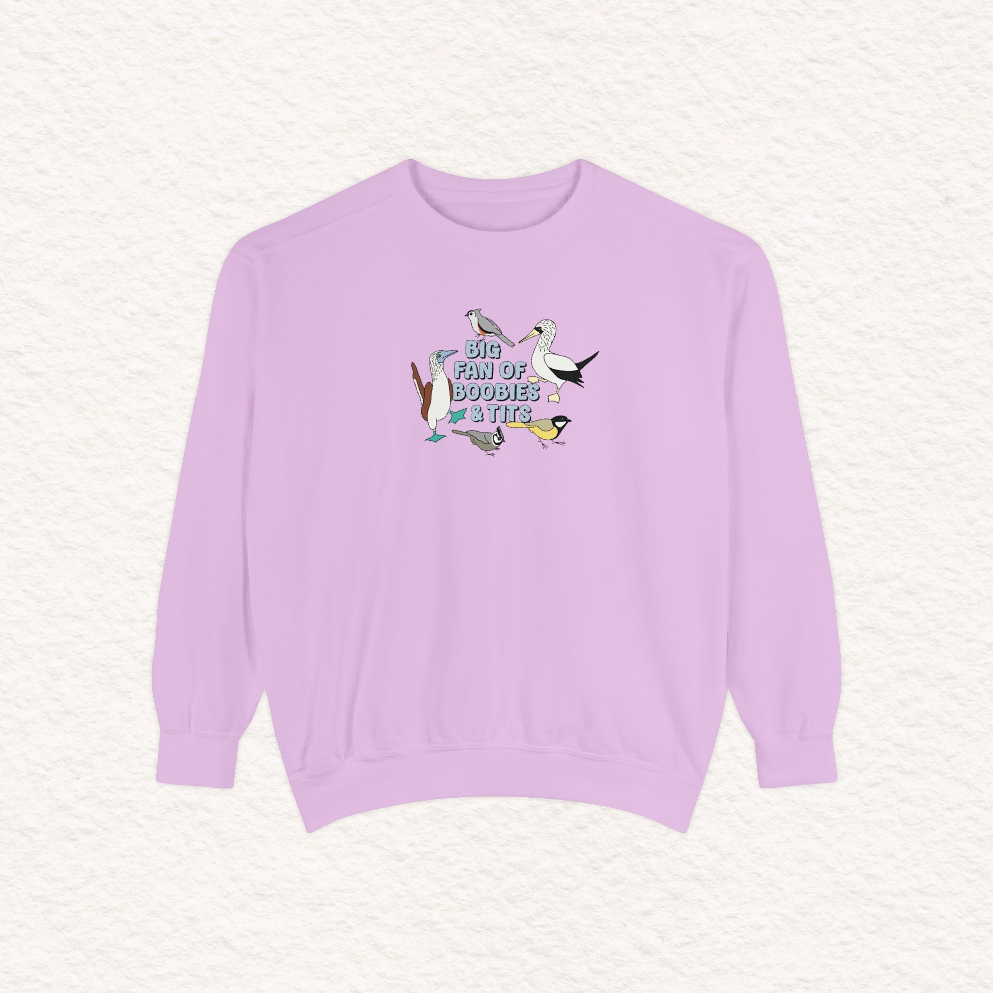 Copy of Copy of Unisex Garment-Dyed Sweatshirt