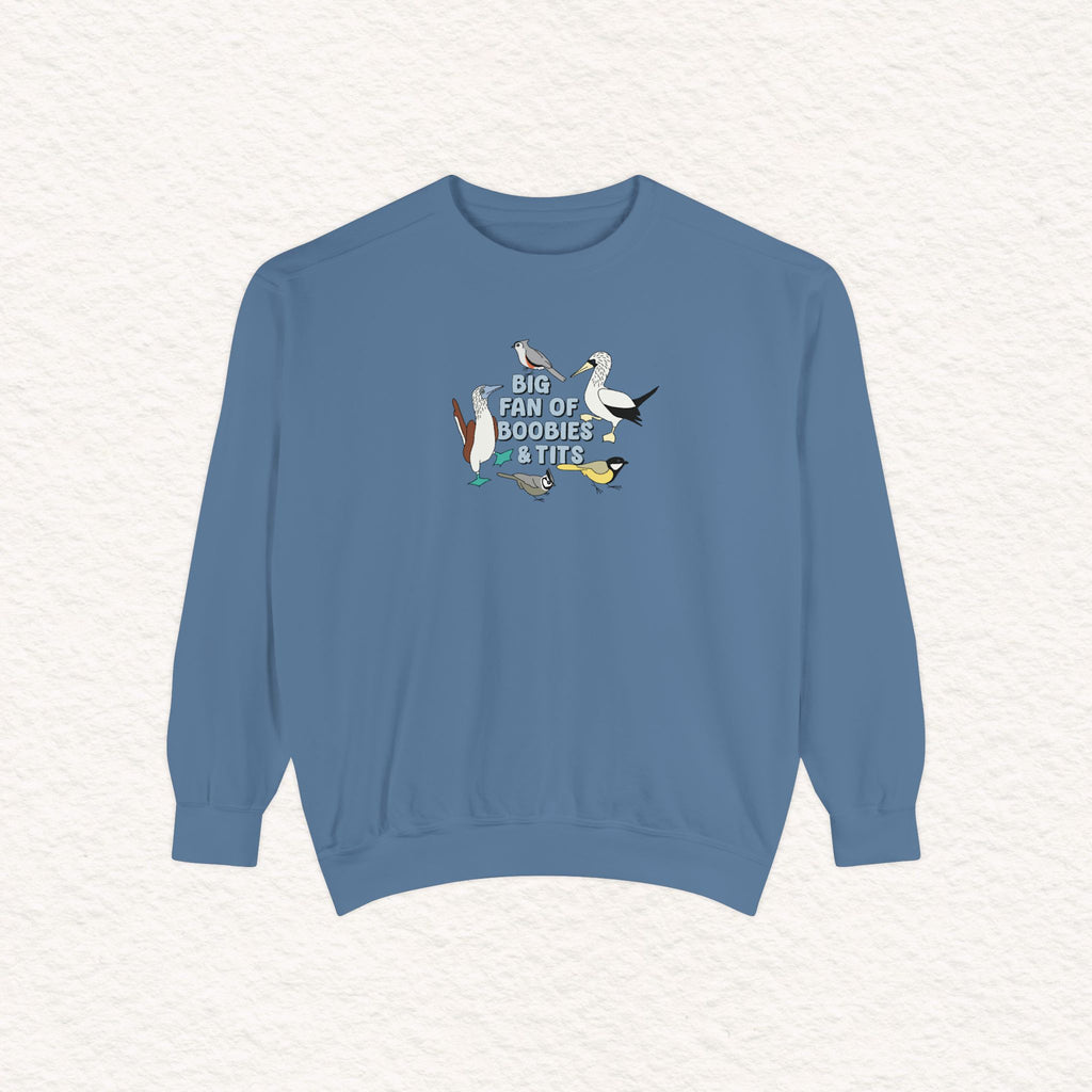 Copy of Copy of Unisex Garment-Dyed Sweatshirt
