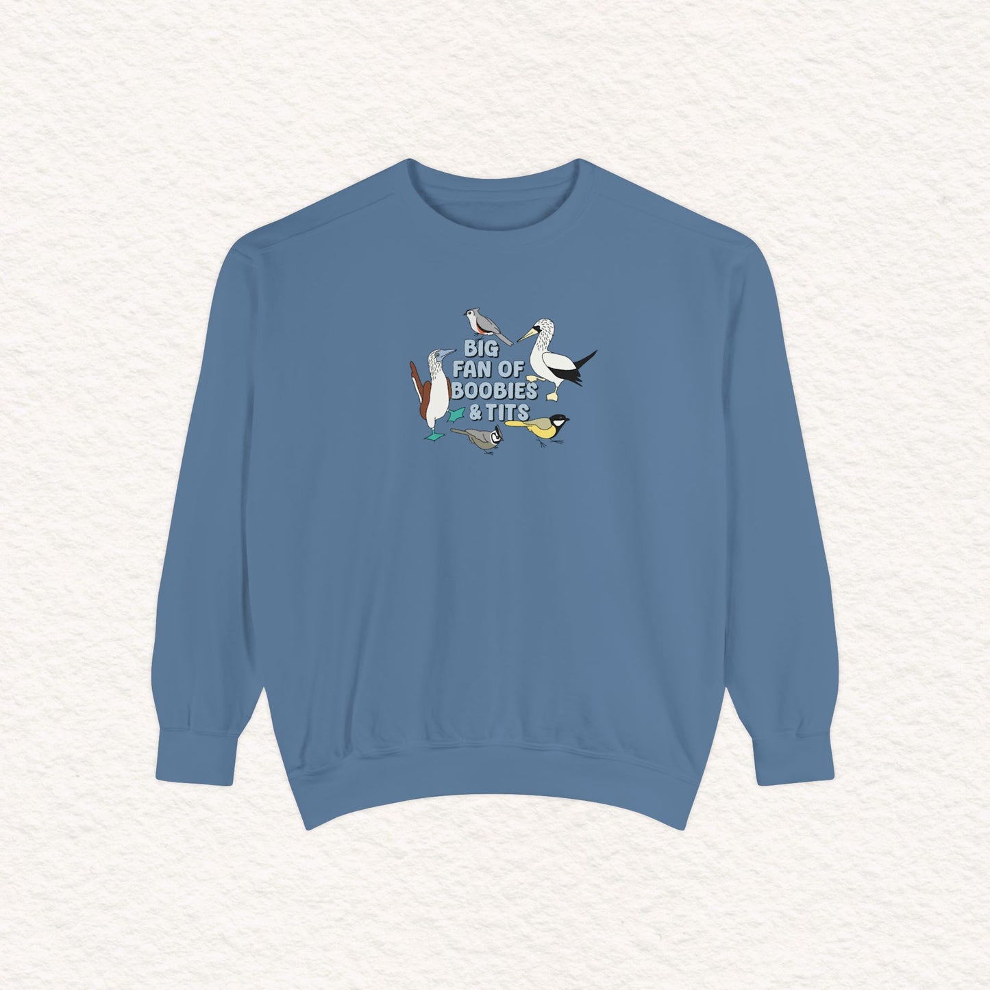 Copy of Copy of Unisex Garment-Dyed Sweatshirt