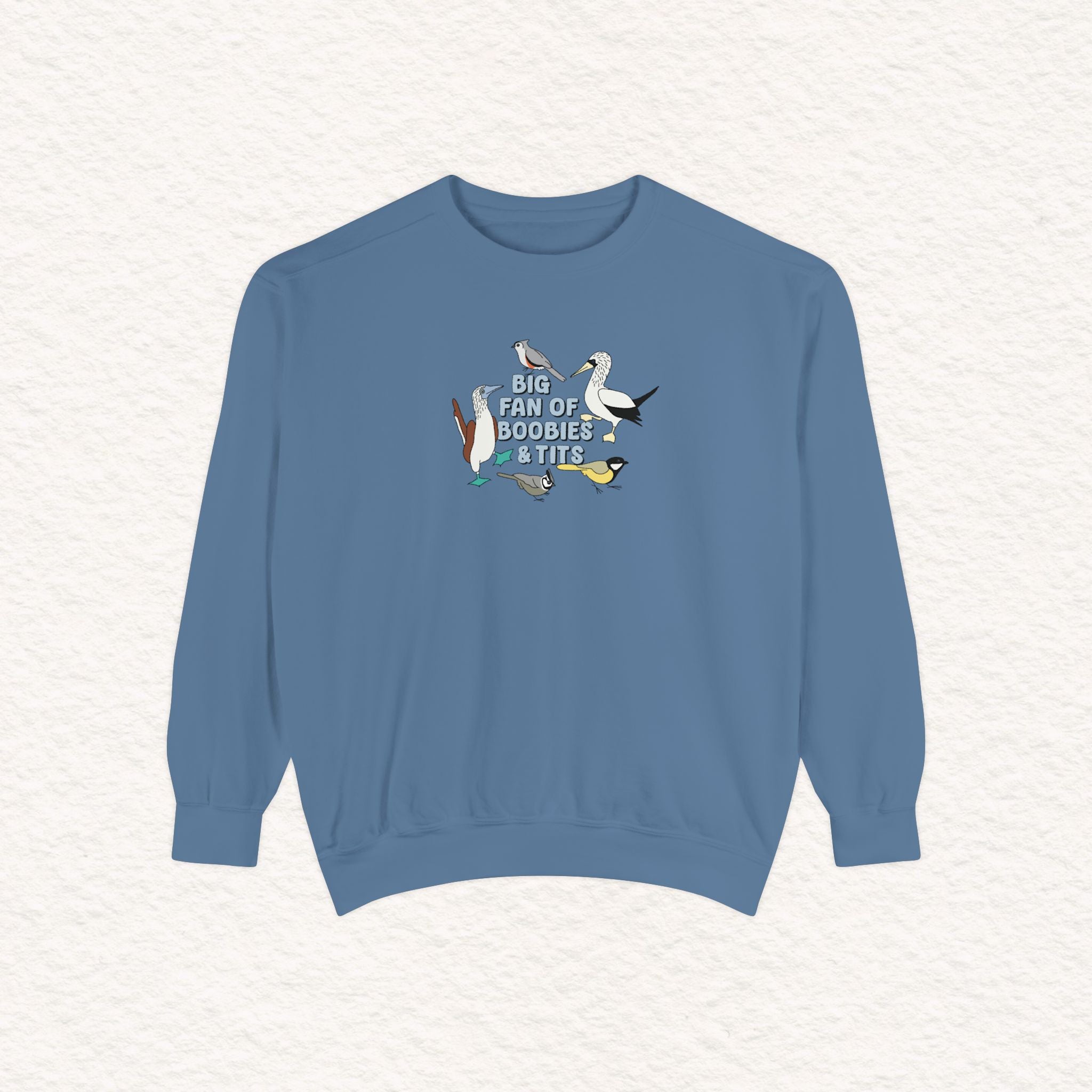 Copy of Copy of Unisex Garment-Dyed Sweatshirt