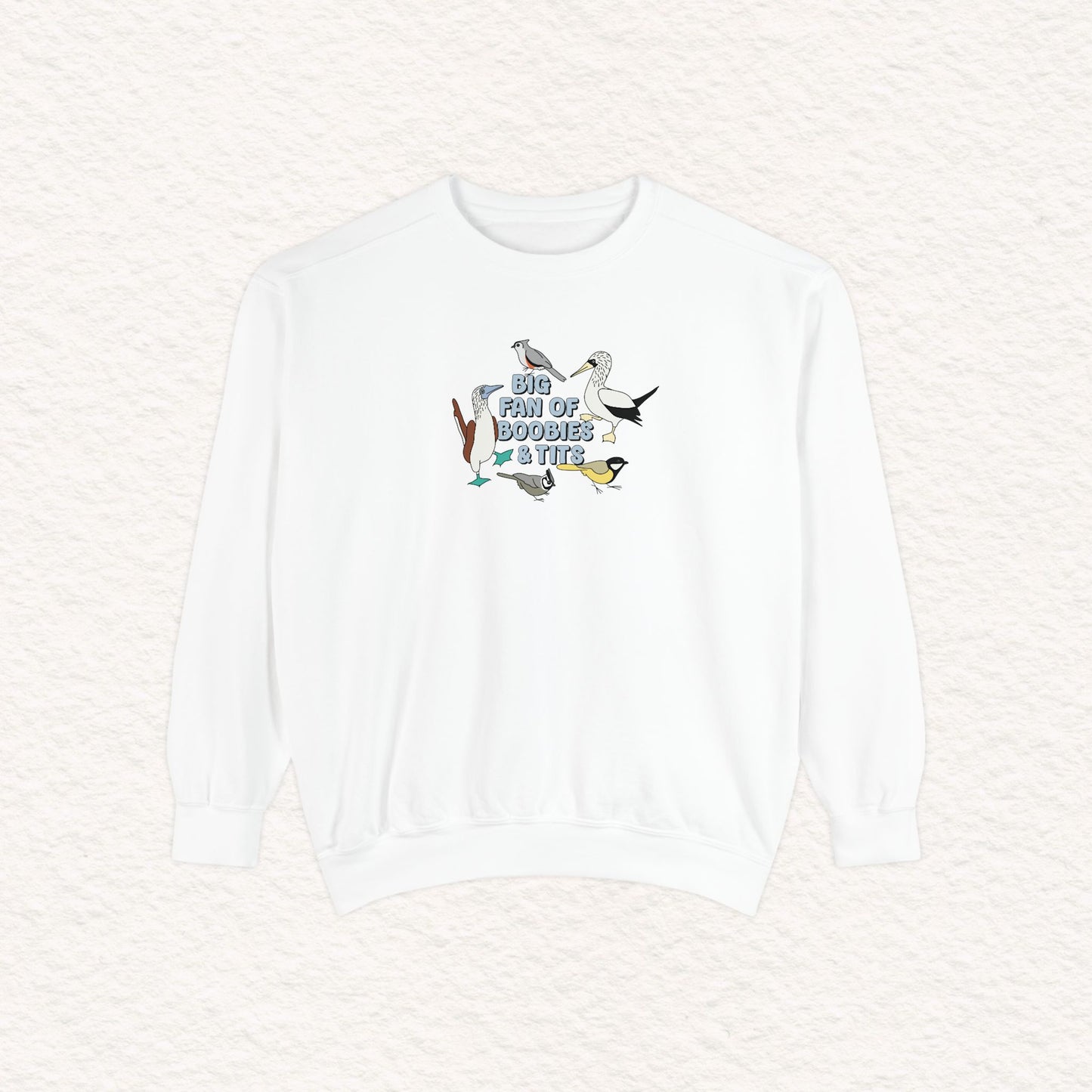 Copy of Copy of Unisex Garment-Dyed Sweatshirt