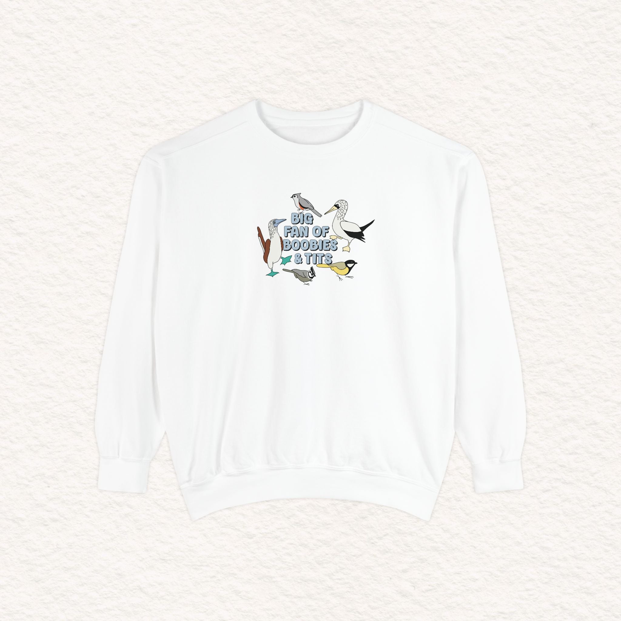 Copy of Copy of Unisex Garment-Dyed Sweatshirt