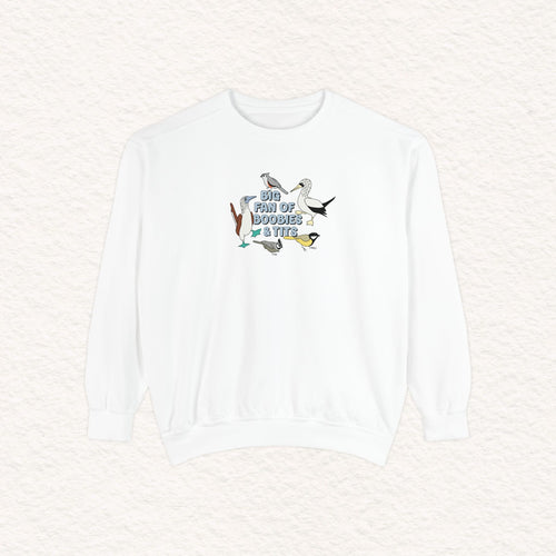 Copy of Copy of Unisex Garment-Dyed Sweatshirt