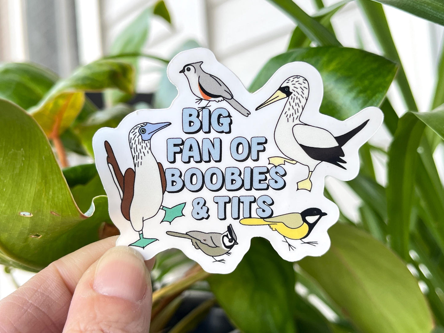 Big Fan of Boobies and Tits sticker