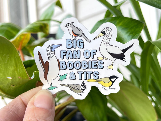 Big Fan of Boobies and Tits sticker